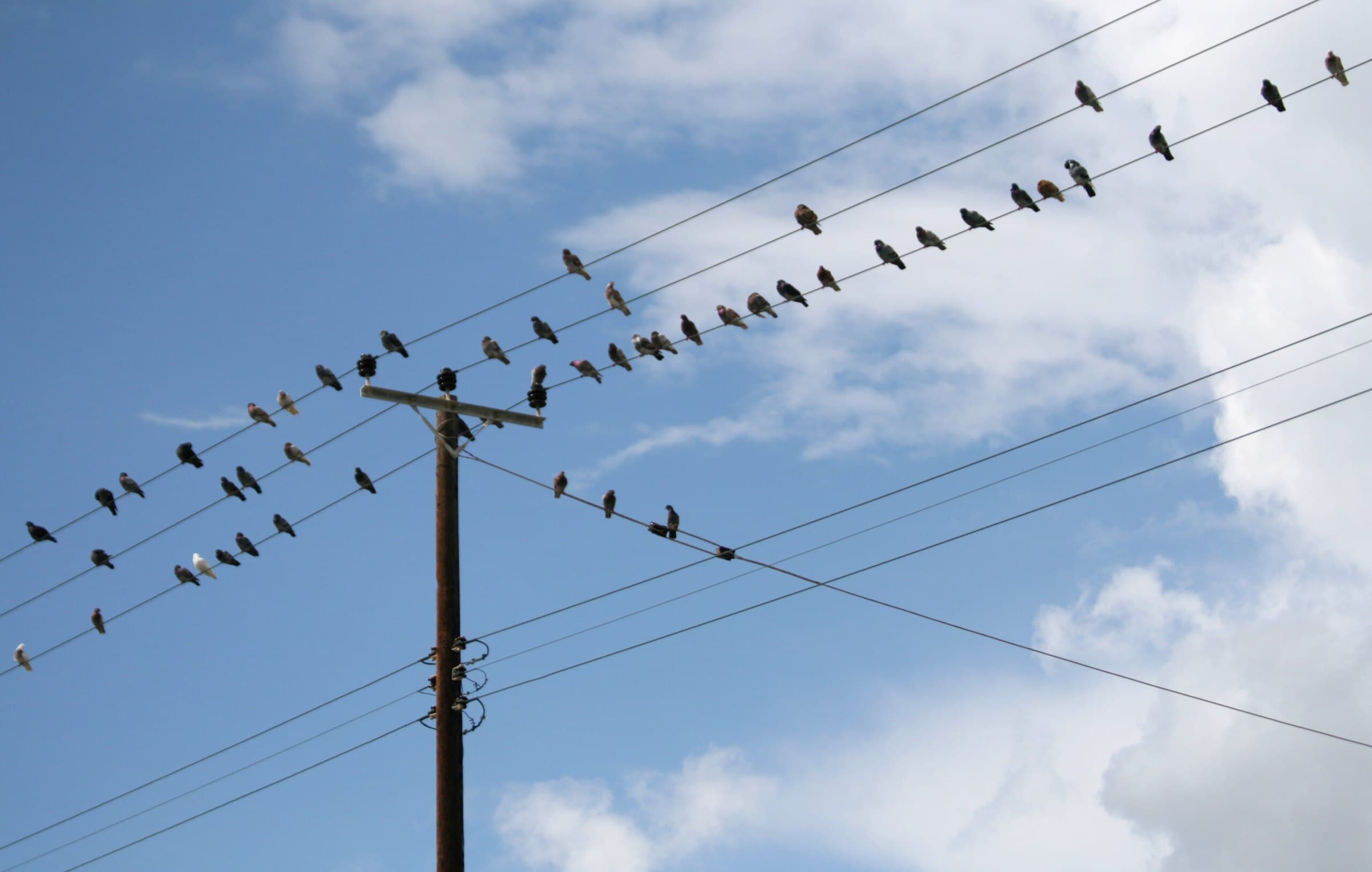 What are the most effective ways to integrate Omnichannel Marketing?